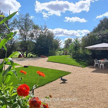 Saint-Mars-la-RéortheGite Le Puy Martineau Piscine Privee Interieure Chauffee A 10 Min Du Puy Du Fo别墅 外观 照片